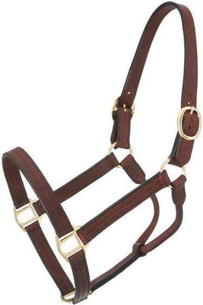 Preakness-Track-Halter-Large-Horse-