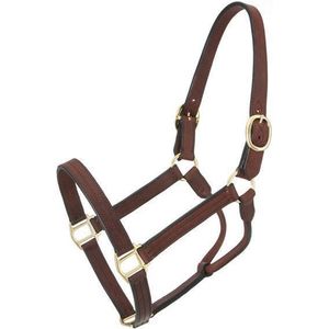 Royal King Preakness Leather Track Horse Halter