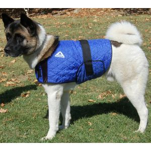 HyperKewl Dog Cooling Vest