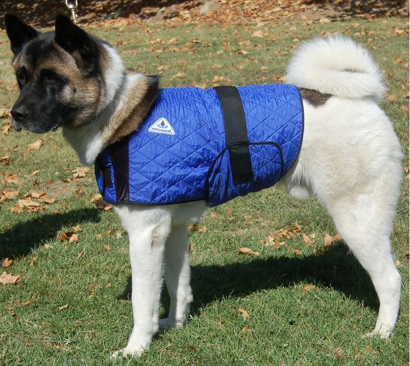 HyperKewl Dog Cooling Vest Jeffers