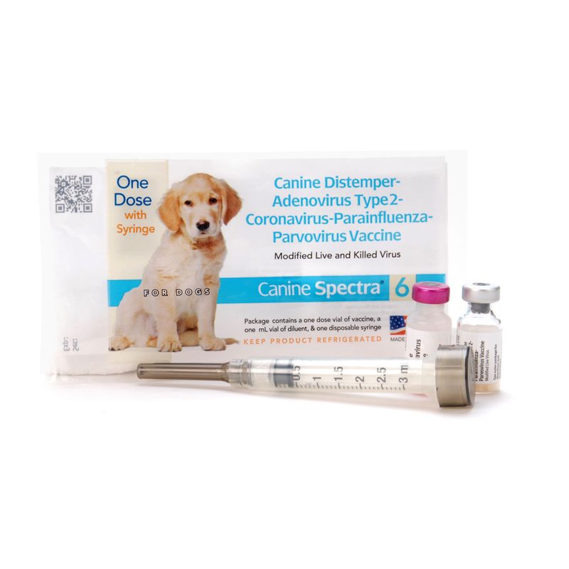 6 in 1 sales vaccine puppy