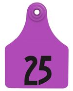 Special-Order-Numbered-Allflex-Global-Large-Tags