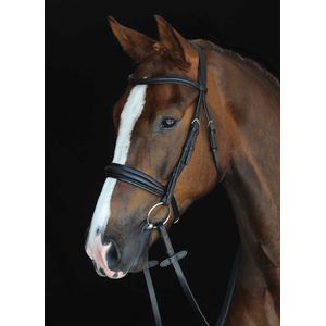 Collegiate Mono Crown Padded Raised Cavesson Bridle