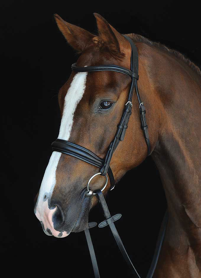 Collegiate-Mono-Crown-Padded-Raised-Cavesson-Bridle