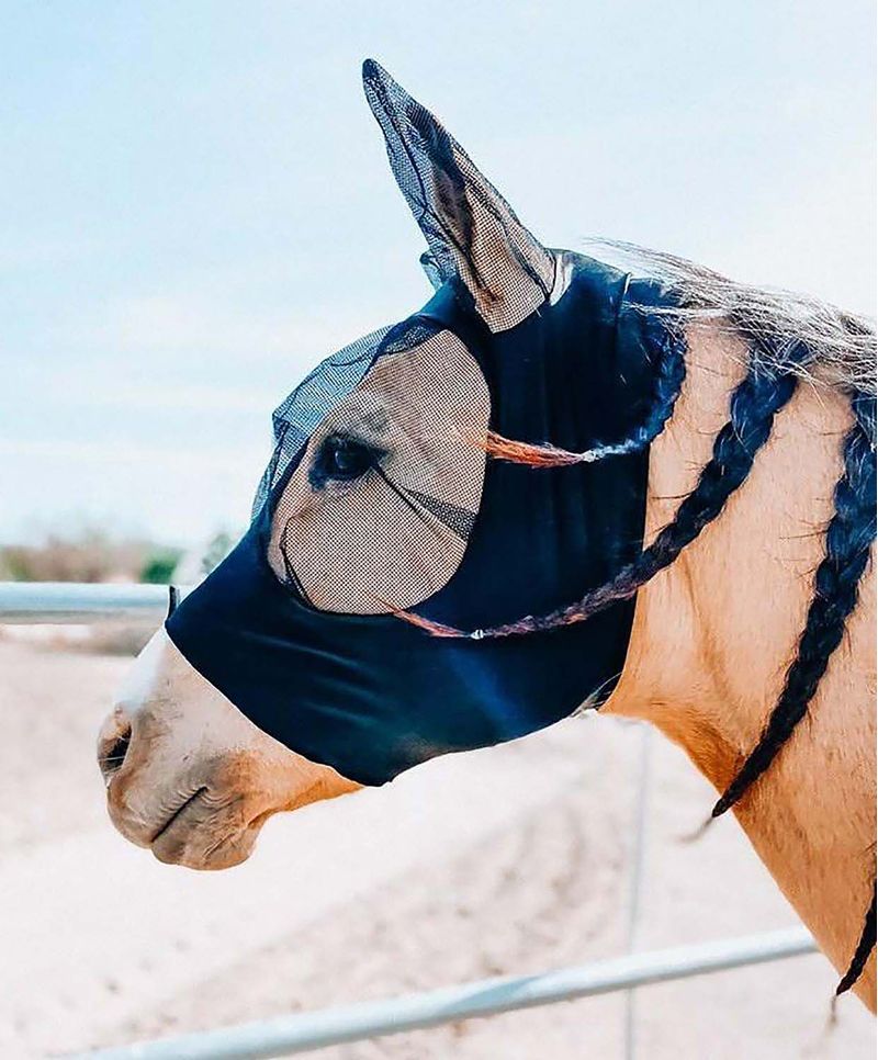 Horse Fly Mask w/ Ears, Blue - Breathable Mesh, UV Protection