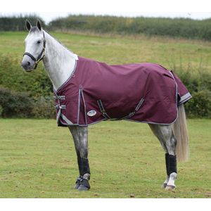 ComFITec Plus Dynamic II Standard Neck Medium Horse Blanket