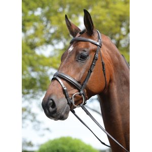 Kincade Leather Padded Flash Horse Bridle