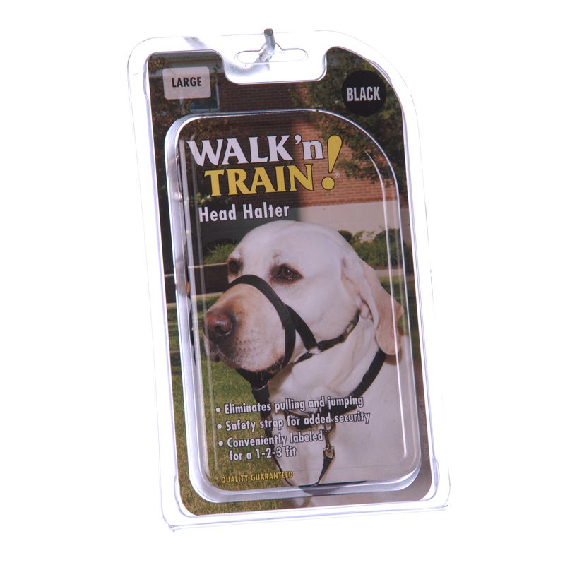 Holt shop dog harness