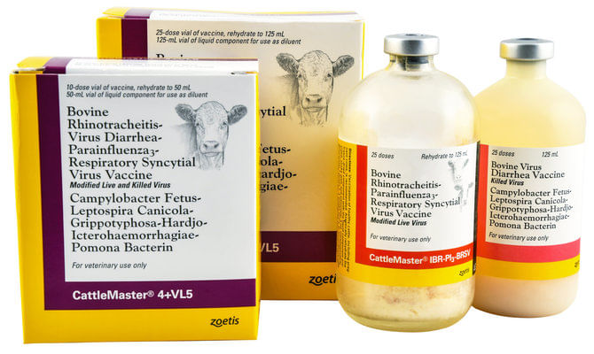 CattleMaster®-4---VL5