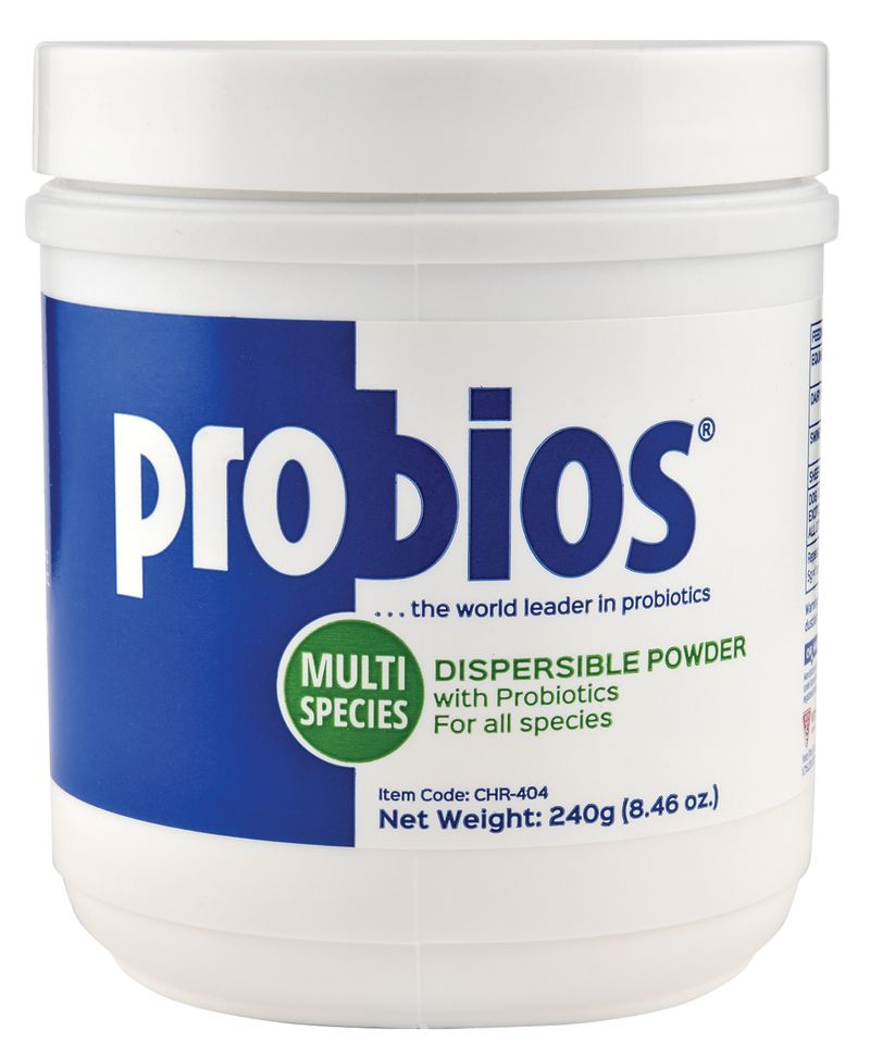 240-grams-Probios-Dispersible-Powder