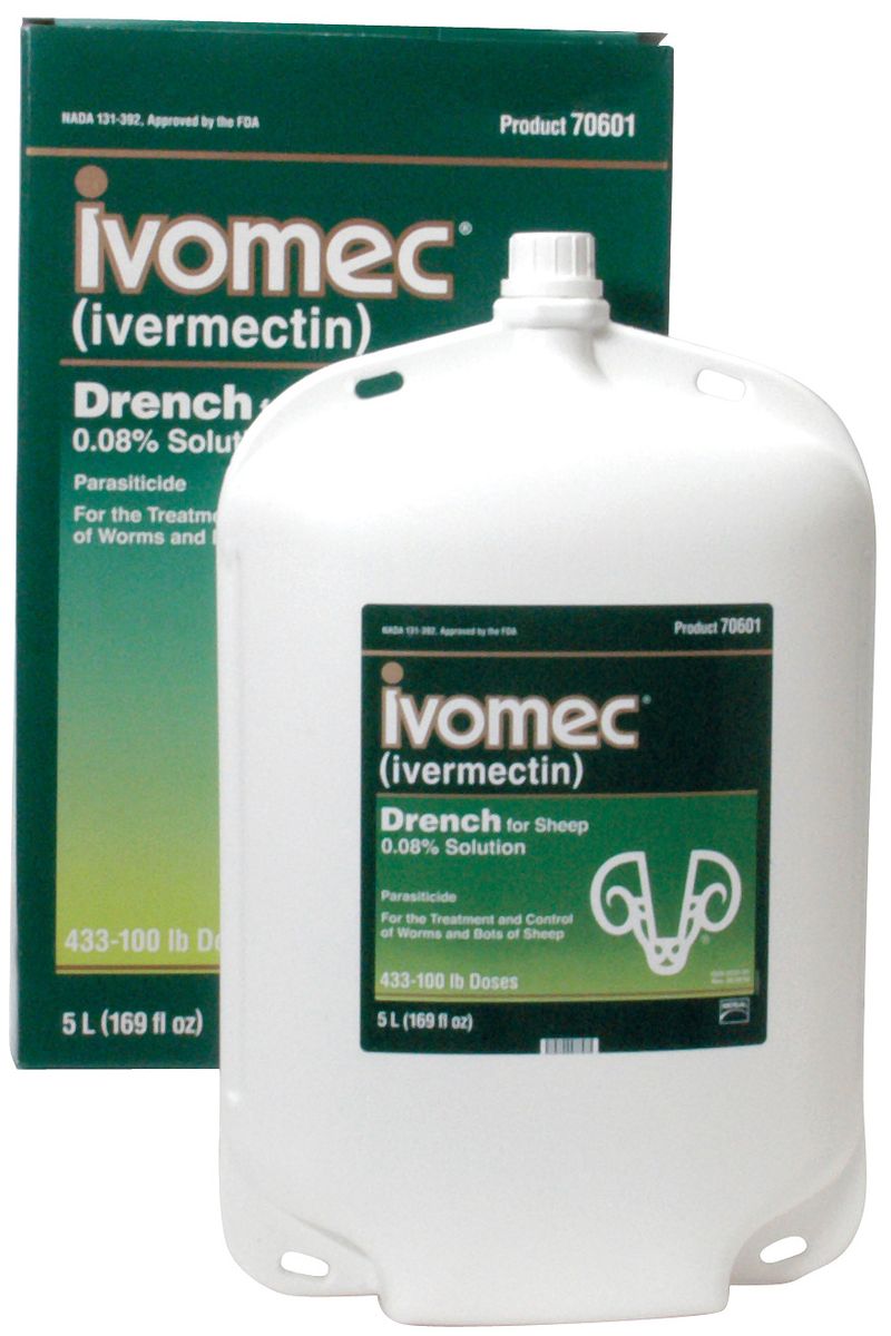 Ivermectin sheep drench for hot sale dogs