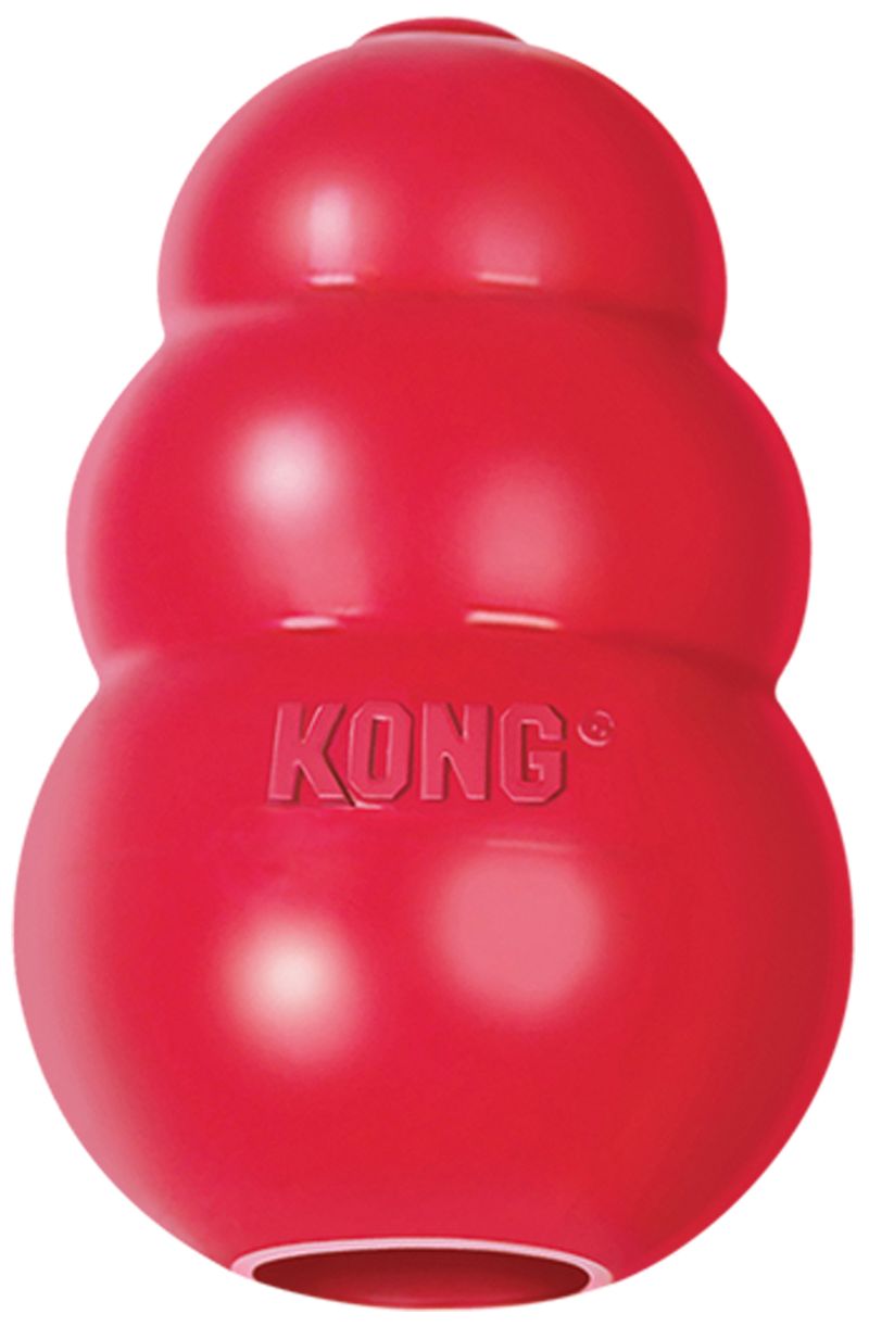 13 Kong Filler Recipes - Stuff Your Kong for Puppies & Adult Dogs