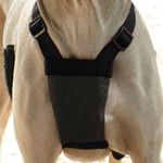 Sporn-Non-Pulling-Mesh-Harness-Large-X-Large