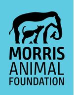 Morris-Animal-Foundation-Donation