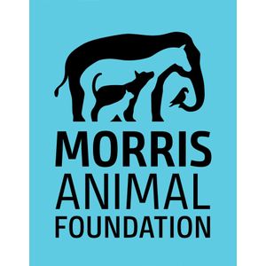 Morris Animal Foundation Donation