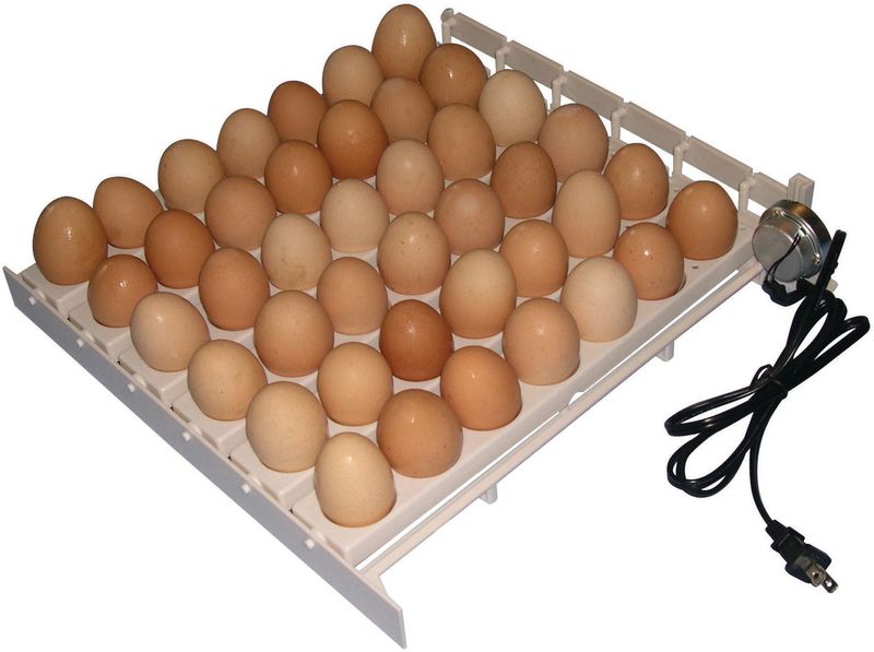 Farm Innovators Automatic Egg Turner Jeffers