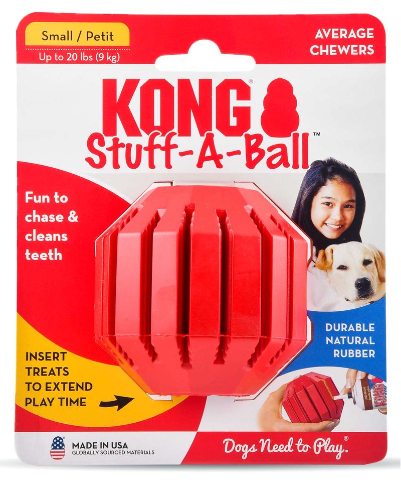 KONG Treat Spinner Dog Toy – Paramus NJ, Poughkipsee NY