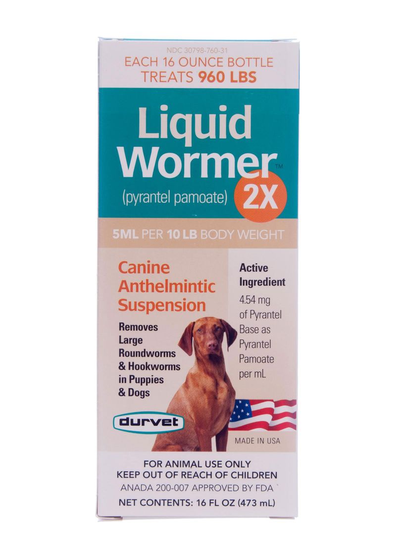 Prolabs Worm Protector 2X Vermifugo liquido per cani, 60 ml (confezione da  1)