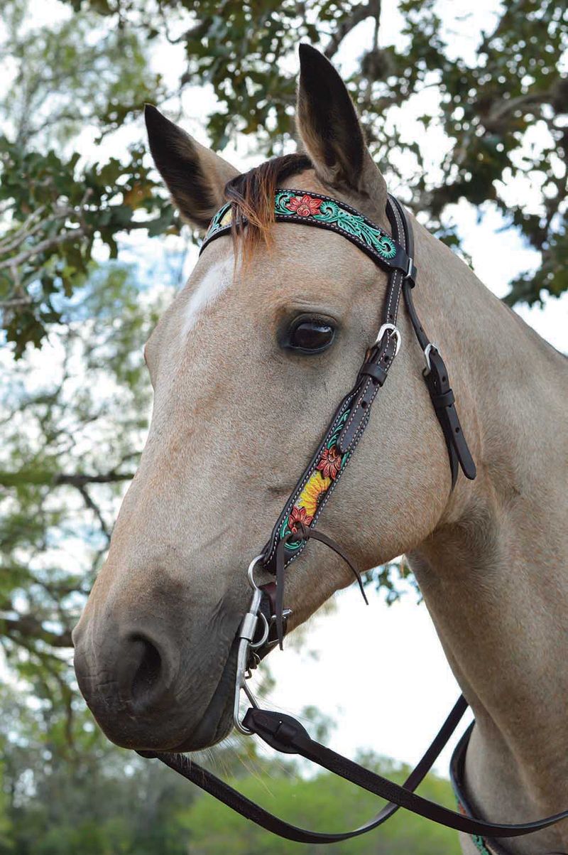 Circle-Y-Rising-Sunflower-Browband-Headstall