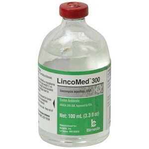 Lincomycin Injectable, 100 mL (300 mg/mL)