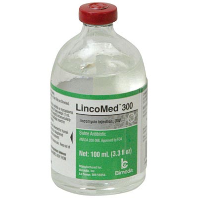 Lincomycin-Injectable-100-mL--300-mg-mL-