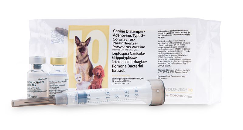 10 way best sale dog vaccine