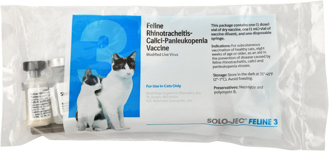 Solo-Jec-Feline-3-Cat-Vaccine