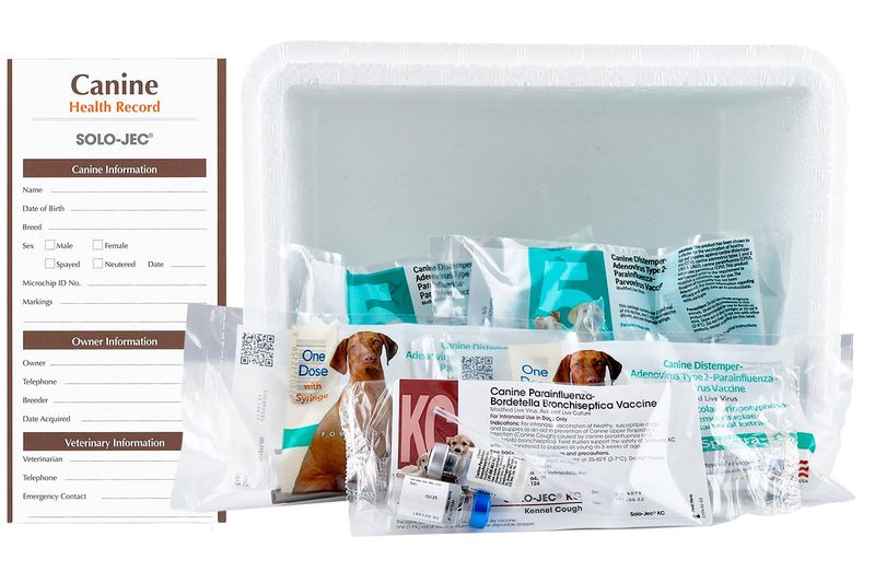 Puppy cheap pack vaccinations