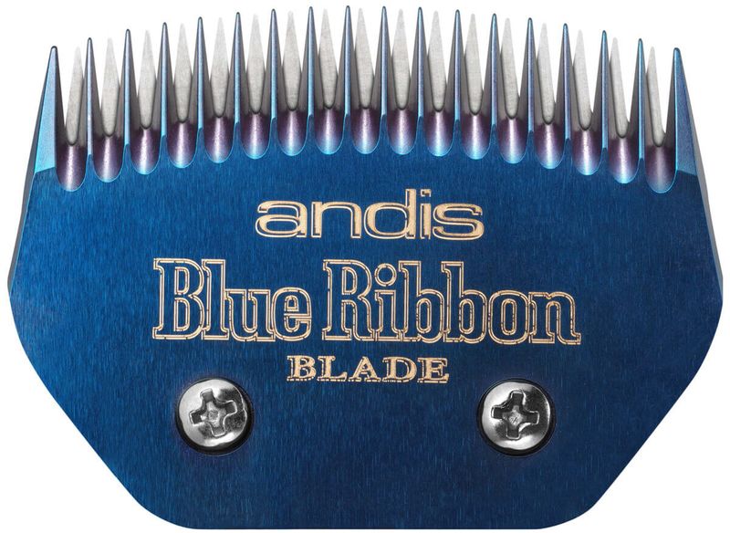 Blue-Ribbon-Blocking-Blade