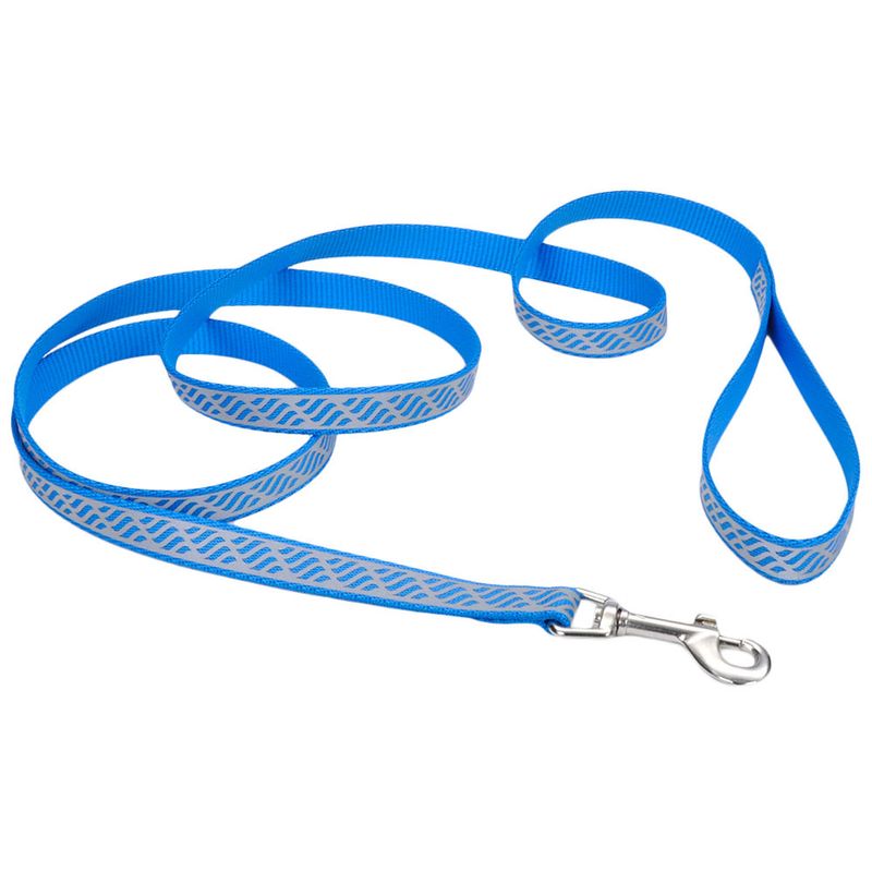 Coastal-Pet-Lazer-Brite-Dog-Leash-6--x-1-