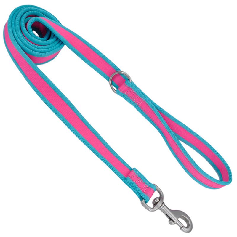 Coastal-Pet-Attire-Pro-Nylon-Dog-Leash-6--x-1-