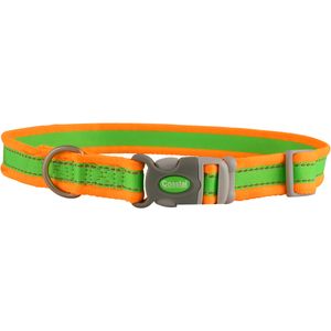 Coastal Pet Attire Pro Adjustable Dog Collar, 10"-14" x 3/4"