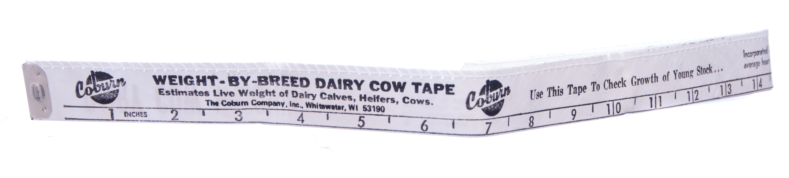 Dairy Cow Weigh Tape by Coburn Jeffers