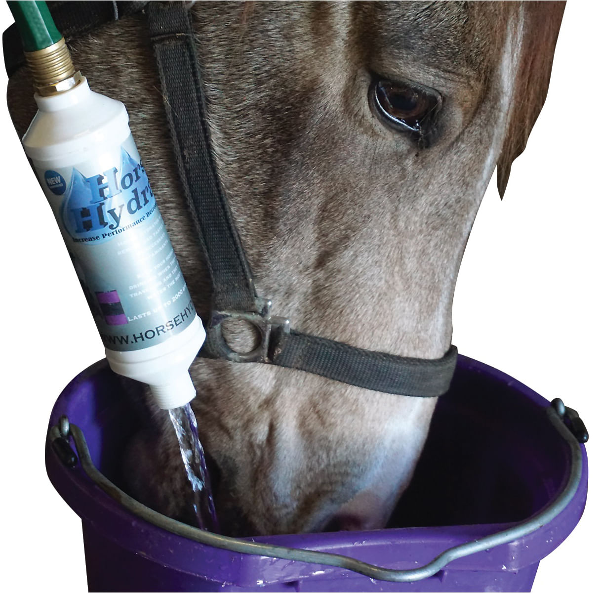 Horse Hydrator Jeffers