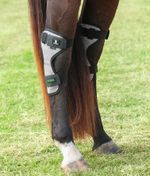 Classic-Equine-MagNTX-Hock-Wraps-Pair