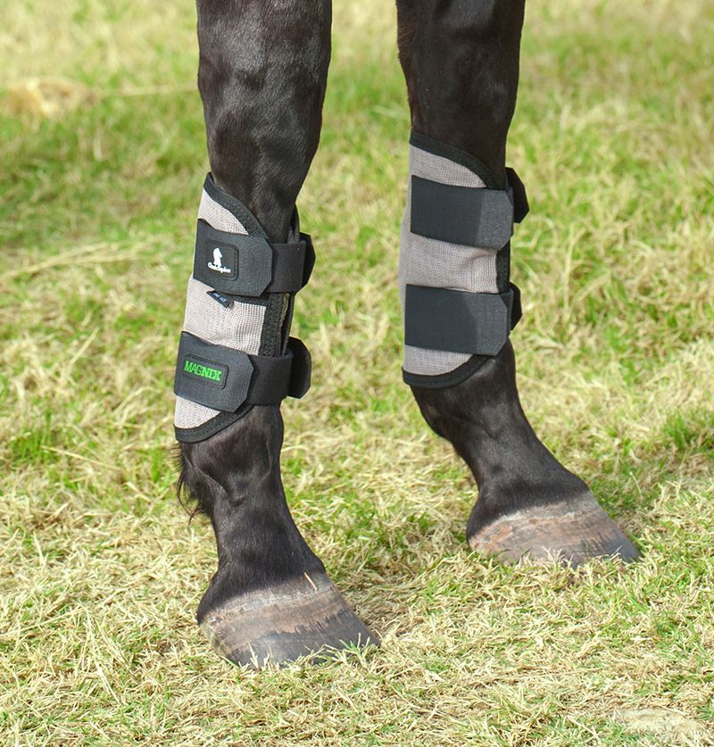 Classic-Equine-MagNTX-Tendon-Wraps-Pair