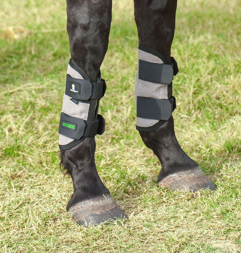 Classic Equine MagNTX Tendon Wraps, Pair - Jeffers