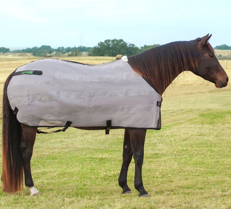 Classic-Equine-MagNTX-Sheet-XSmall-68"-70"
