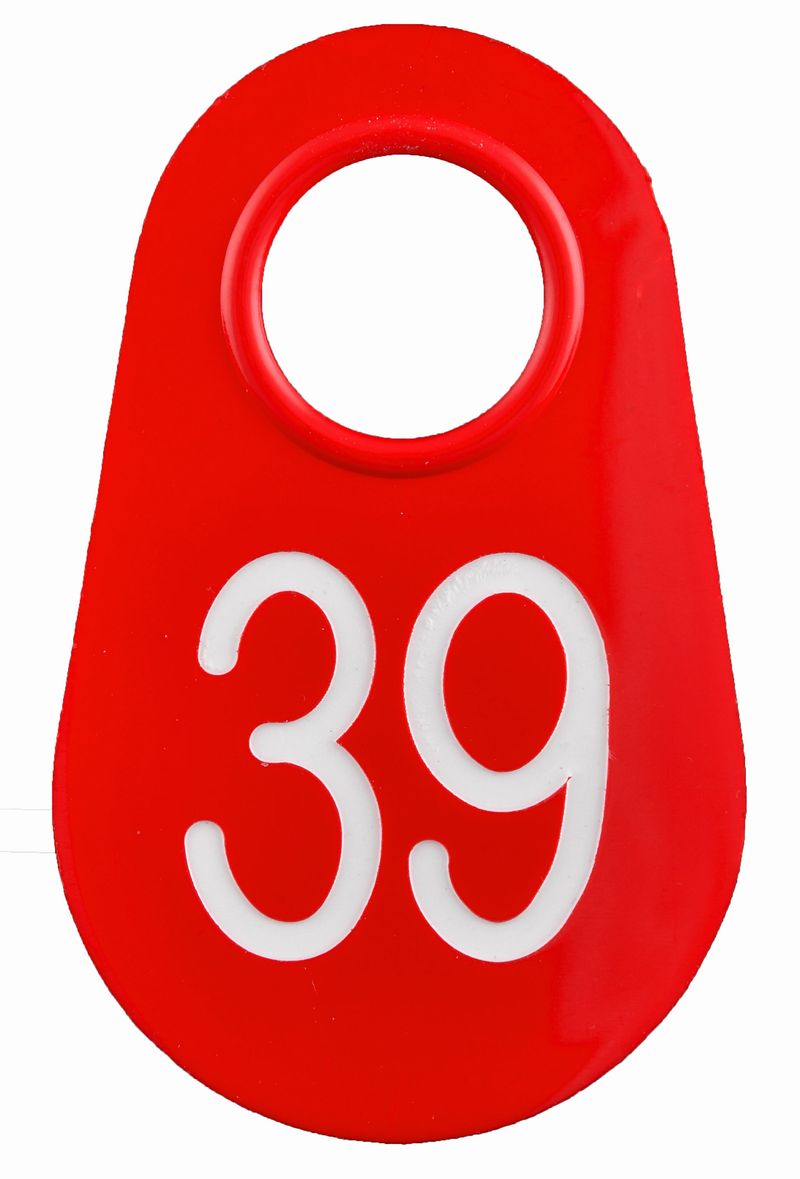 Red-Numbered-Nylon-Tags-Pack-of-25