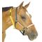 Yellow Numbered Mare ID Neck Strap