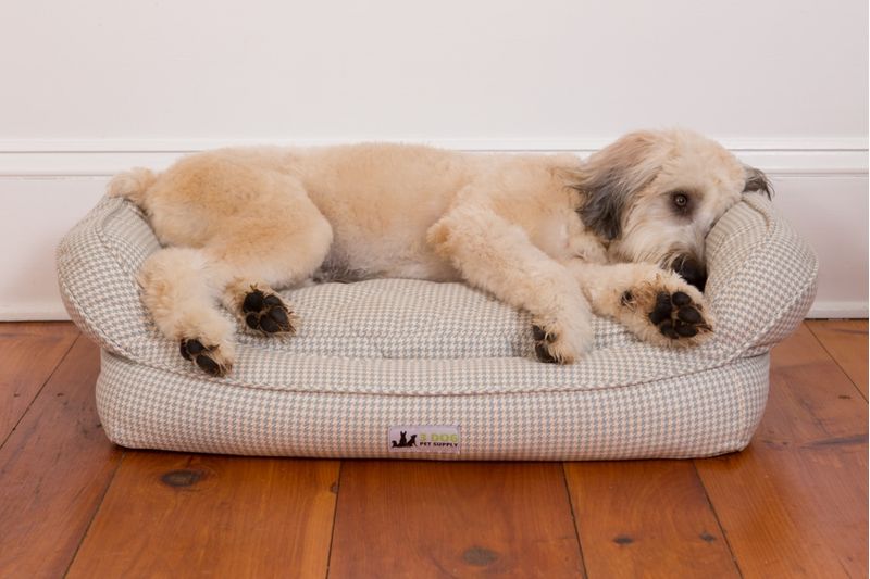 Washing foam shop dog bed