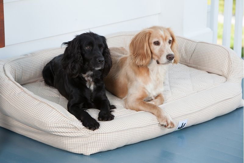 Dog bed with clearance headrest