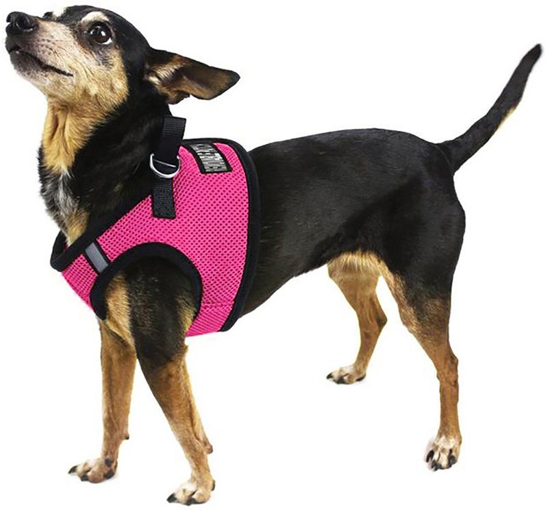 Boston-Mesh-Dog-Harness-XX-Small