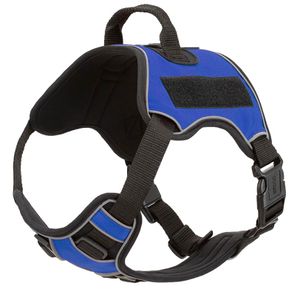 Quest Multi-Purpose Harness, Medium