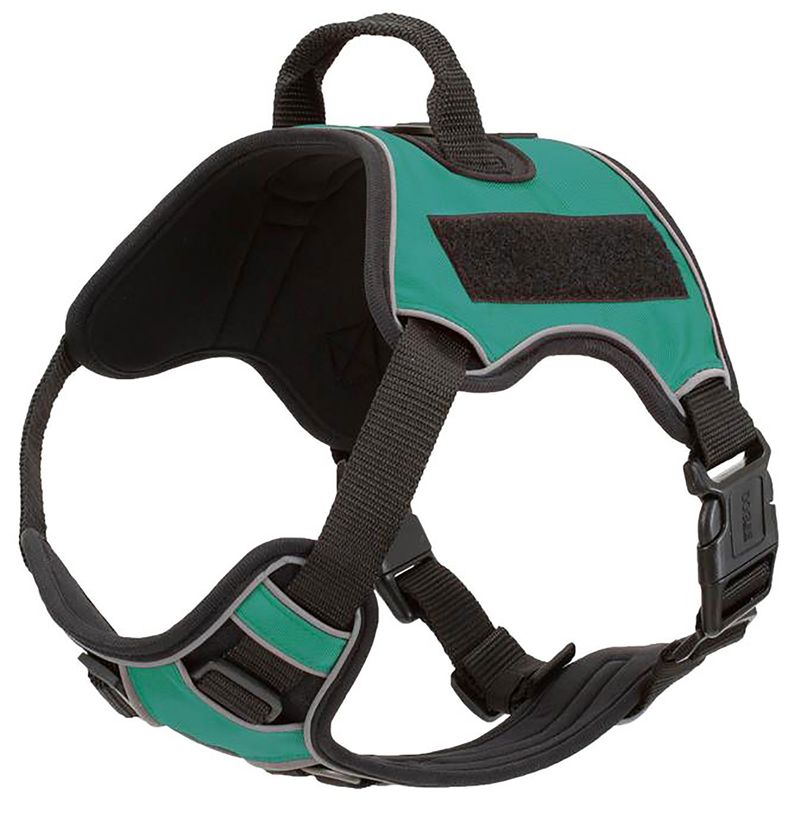 Quest-Multi-Purpose-Harness-Medium