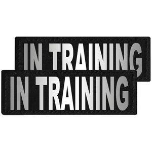 Reflective "In Training" Patches, Set of 2