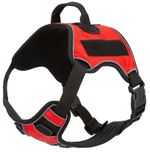 Quest-Multi-Purpose-Harness-XSmall