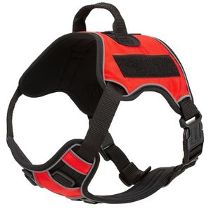 Quest Multi-Purpose Harness, XSmall