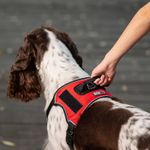 Quest-Multi-Purpose-Harness-XSmall