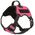 Quest Multi-Purpose Harness, Medium